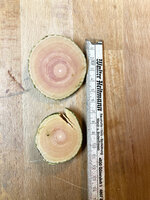 Hartriegel Abschnitte von beiden Enden