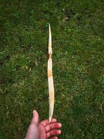 20230110_124438_compress42.jpg