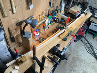 Der Hartriegel eingespannt