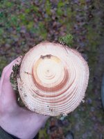 20230106_124332.jpg (577.45 KiB) 6764 mal betrachtet Querschnitt