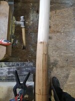 Farbunterschied mit und ohne Bast