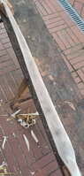 Hasel2Temper2.jpg (346.16 KiB) 2242 mal betrachtet Der andere Arm