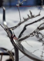 541493EA-8DA7-4B58-8E22-44374322F7C7.jpeg