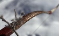 B9805D26-877B-4E6D-945A-56549F0FE008.jpeg