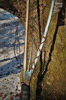 DSC08458.JPG