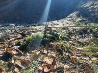 Abgespannt Seitenansicht