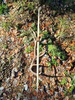 Abgespannt Rückenansicht