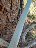 Rückenansicht im Detail