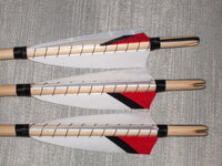 IMGP6470.JPG