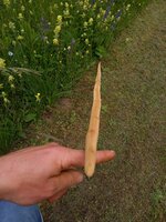 compressed_1684825981779.jpg