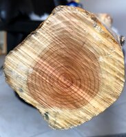 Schnittbild unteres Ende