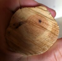 Schnittbild oberes Ende