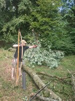 IMG_20230713_160941.jpg (406.07 KiB) 5525 mal betrachtet Avatar Bogen