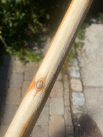 bambus_eibe3.jpg