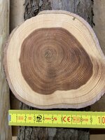Bergeibe Südtirol 12_2023.JPEG (865.42 KiB) 5782 mal betrachtet So sieht die Bergeibe aus. Das Holz ist noch frisch vom letzten Donnerstag.