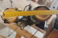 Apfel 3.JPG (64.38 KiB) 7111 mal betrachtet Apfel und Kirsche