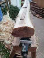 oberer Stammabschnitt