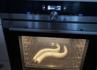 IMG_0347.jpeg