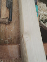 noch ein überwachsener Ast schräg zur Seite