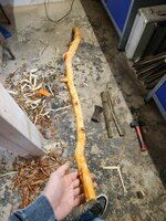 Entrindet, Ansicht Rücken