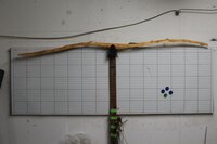 Kirsche reißt 2.JPG