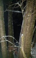 20240108_070243.jpg