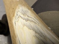 1000017922.jpg (658.25 KiB) 2737 mal betrachtet Gammelstellen mit hell verfärbtem Bast und schwarzem Gammel