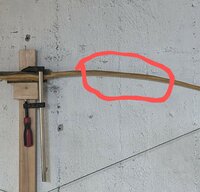 PXL_20240929_080613859~3.jpg