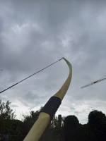 20240923_155648_copy_1500x2000.jpg