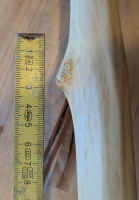 PXL_20241223_080857396~2.jpg