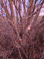 20250101_162542_VgmnI0jU71.jpeg (1.48 MiB) 38947 mal betrachtet Schnittstelle