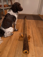 20250101_194348.jpg (526.2 KiB) 2887 mal betrachtet Rohling im ganzen. So 180cm lang