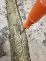 20250102_085145_ZBpTOBQs78.jpeg (455.66 KiB) 38814 mal betrachtet Auf einer Seite nicht zusammengetroffen. Stechbeitel hats behoben.