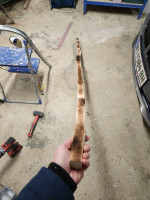 20250103_182415_trqggWiE7z.jpeg (553.07 KiB) 38725 mal betrachtet Bauch