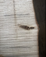 Totast leider genau am Übergang Fadeout zum Wurfarm