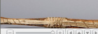 Screenshot_20250115-132625_Chrome.jpg