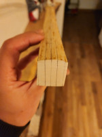 Die ermittelten Schnittlinien