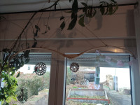 IMG_20250125_163014.jpg