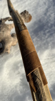 IMG_3251.jpeg
