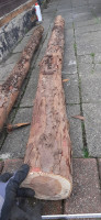 20250201_141709.jpg (1.2 MiB) 9211 mal betrachtet Stamm 2