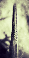 IMG_3310.jpeg