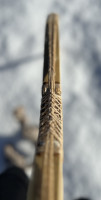 IMG_3289.jpeg