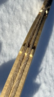 IMG_3281.jpeg