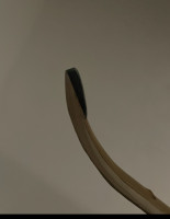 IMG_6238.jpeg