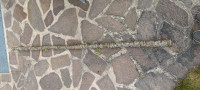 20250515_165516.jpg