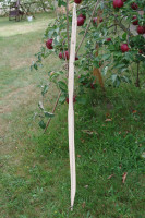 Imgp5509c.jpg