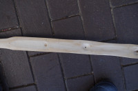 Imgp9064b.jpg