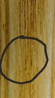 20250828_145044.jpg