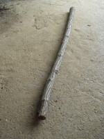CIMG2849.JPG