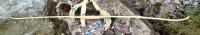 IMG_5135.jpeg
